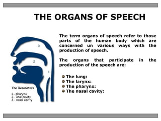 THE ORGANS OF SPEECH The term organs of speech refer to those parts of the human body which are concerned un various ways with the production of speech. The organs that participate in the production of the speech are: The lung: The larynx: The pharynx: The nasal cavity: 