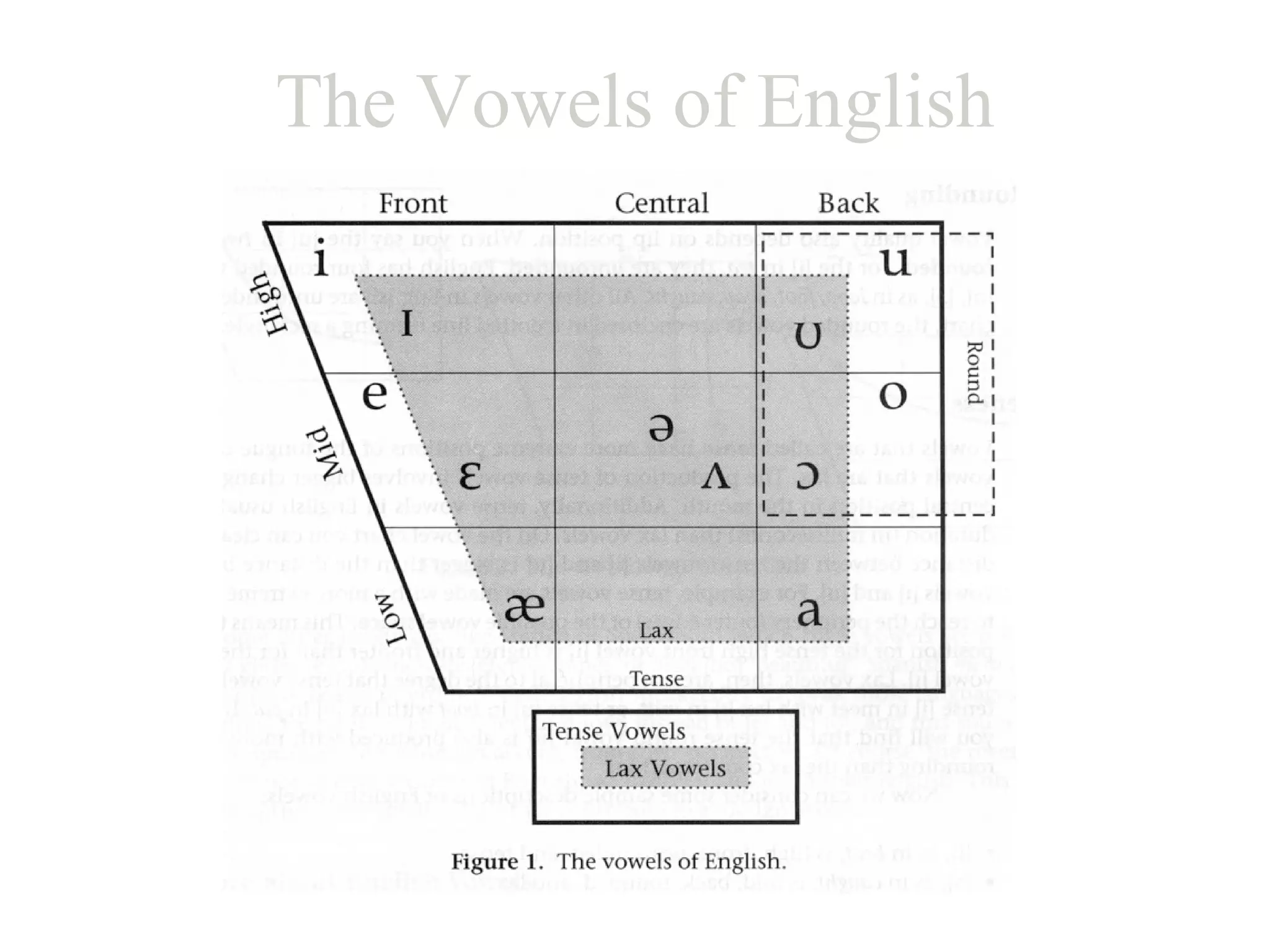 The Vowels of English 