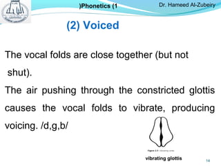 The vocal folds are close together (but not
shut).
The air pushing through the constricted glottis
causes the vocal folds to vibrate, producing
voicing. /d,g,b/
(2( Voiced
vibrating glottis
Dr. Hameed Al-ZubeiryPhonetics (1(
14
 
