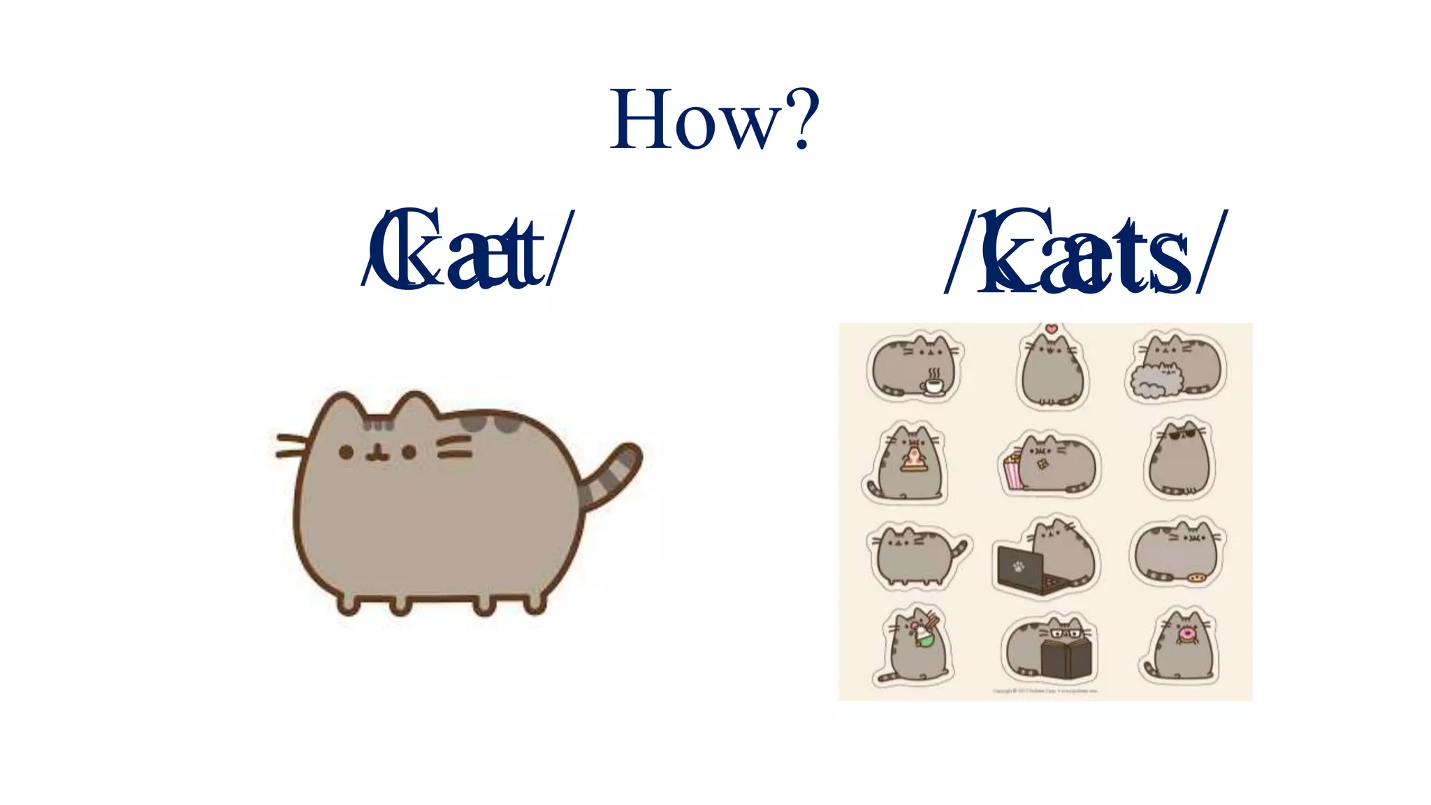Cat Cats
How?
/kæt/ /kæts/
 