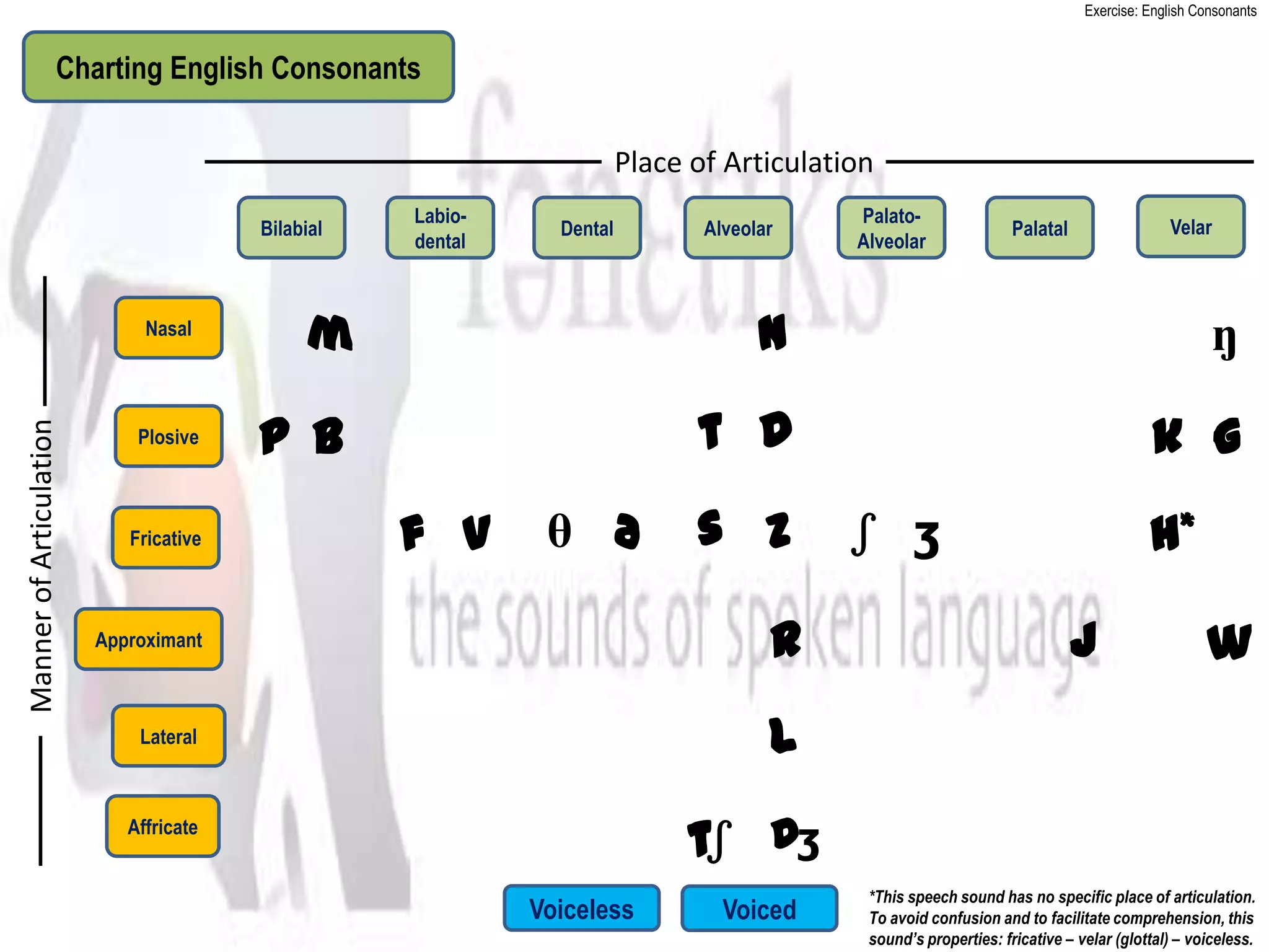 Exercise: English Consonants


                   Charting English Consonants

                                                                       Place of Articulation
                                                   Labio-                                 Palato-
                                        Bilabial              Dental          Alveolar                           Palatal                 Velar
                                                   dental                                 Alveolar



                              Nasal
                                              m                                     n                                                           ŋ

                                        p b                                  t d                                                       k g
Manner of Articulation




                             Plosive



                            Fricative              f v       θ ð             s z          ʃ ʒ                                         h*
                         Approximant                                                 r                                     j                   w
                             Lateral                                                 l
                            Affricate
                                                                            tʃ dʒ
                                                                                           *This speech sound has no specific place of articulation.
                                                            Voiceless           Voiced     To avoid confusion and to facilitate comprehension, this
                                                                                           sound’s properties: fricative – velar (glottal) – voiceless.
 