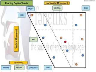 Exercise: English Vowels

  Charting English Vowels                         Horizontal Movement
                                      FRONT              CENTRAL        BACK



                               HIGH
           Vertical Movement




                                          MID




           Lip Rounding


ROUNDED            NEUTRAL            UNROUNDED   LOW
 