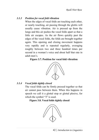 Rusdi Noor Rosa
42 | Introduction to Linguistics
3.1.3 Position for vocal fold vibration
When the edges of vocal folds are touching each other,
or nearly touching, air passing through the glottis will
usually cause vibration. Air is pressed up from the
lungs and this air pushes the vocal folds apart so that a
little air escapes. As the air flows quickly past the
edges of the vocal folds, the folds are brought together
again. This opening and closing movement happens
very rapidly and is repeated regularly, averaging
roughly between two and three hundred times per
second in a woman‘s voice and about half that rate in
adult men‘s.
Figure 3.7. Position for vocal fold vibration
3.1.4 Vocal folds tightly closed
The vocal folds can be firmly pressed together so that
air cannot pass between them. When this happens in
speech we call it a glottal stop or glottal plosive, for
which the symbol ―Ɂ‖ is used.
Figure 3.8. Vocal folds tightly closed
 
