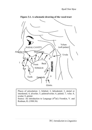 Rusdi Noor Rosa
38 | Introduction to Linguistics
Figure 3.1. A schematic drawing of the vocal tract
Places of articulation: 1, bilabial; 2, labiodental; 3, dental or
interdental; 4, alveolar; 5, palatoalveolar; 6, palatal; 7, velar; 8,
uvular; 9, glottal.
Source: An introduction to Language (4th
ed.) Fromkin, V. and
Rodman, R. (1988:36)
Lip
21
9
8
7
6
5
4
3
Hard palateAlveolar ridge
NASAL CAVITY
Velum
(soft palate)
Uvula
Epiglotis
BackFront
Lip
Teeth
TONGUE
Glottis
 