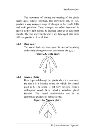 Rusdi Noor Rosa
41 | Introduction to Linguistics
The movement of closing and opening of the glottis
seems quite simple; however, this movement can, in fact,
produce a very complex range of changes in the vocald folds
and their positions. These changes are often important in
speech as they help humans to produce varieties of consonant
sounds. The two movements above are developed into more
different positions of vocal folds.
3.1.1 Wide apart
The vocal folds are wide apart for normal breathing
and usually during voiceless consonants like p, f, s.
Figure 3.5. Wide apart
3.1.2 Narrow glottis
If air is passed through the glottis when it is narrowed,
the result is a fricative sound for which the symbol
used is h. The sound is not very different from a
widespread vowel. It is called a voiceless glottal
fricative. The sound ahahahahaha can be an
appropriate example of narrow glottis.
Figure 3.6. Narrow glottis
 