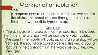 Manner of articulation
Stop
(Complete closure of the articulators involved so that
the airstream cannot escape through the mouth.)
There are two possible types of stop:
Oral stop
The soft palate is raised so that the nasal tract is blocked
off, then the airstream will be completely obstructed.
Pressure in the mouth will build up and an oral stop will be
formed. This sound are called plosives. This kind of sound
occurs in the consonants in the words pie, buy, tie, dye,
key, guy.
 