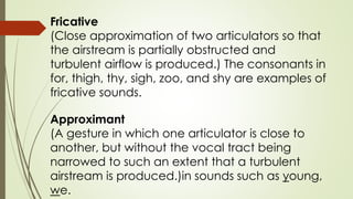 Fricative
(Close approximation of two articulators so that
the airstream is partially obstructed and
turbulent airflow is produced.) The consonants in
for, thigh, thy, sigh, zoo, and shy are examples of
fricative sounds.
Approximant
(A gesture in which one articulator is close to
another, but without the vocal tract being
narrowed to such an extent that a turbulent
airstream is produced.)in sounds such as young,
we.
 