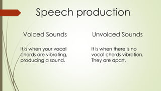 Speech production
Voiced Sounds Unvoiced Sounds
It is when your vocal
chords are vibrating,
producing a sound.
It is when there is no
vocal chords vibration.
They are apart.
 