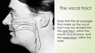 The vocal tract
Note that the air passages
that make up the vocal
tract may be divided into
the oral tract, within the
mouth and pharynx, and
the nasal tract, within the
nose.
 