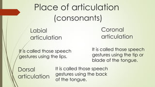 Place of articulation
(consonants)
Labial
articulation
Coronal
articulation
Dorsal
articulation
It is called those speech
gestures using the lips.
It is called those speech
gestures using the tip or
blade of the tongue.
It is called those speech
gestures using the back
of the tongue.
 