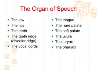 The Organ of Speech
 The jaw               The tongue
 The lips              The hard palate
 The teeth             The soft palate
 The teeth ridge       The uvula
  (alveolar ridge)      The larynx
 The vocal cords       The pharynx
 