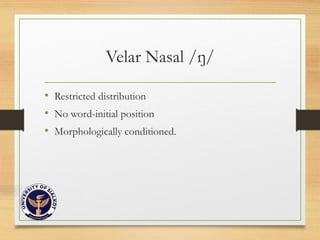 Phonetics and Phonology ppt 1.pptx15-dec 2025 | PPTX