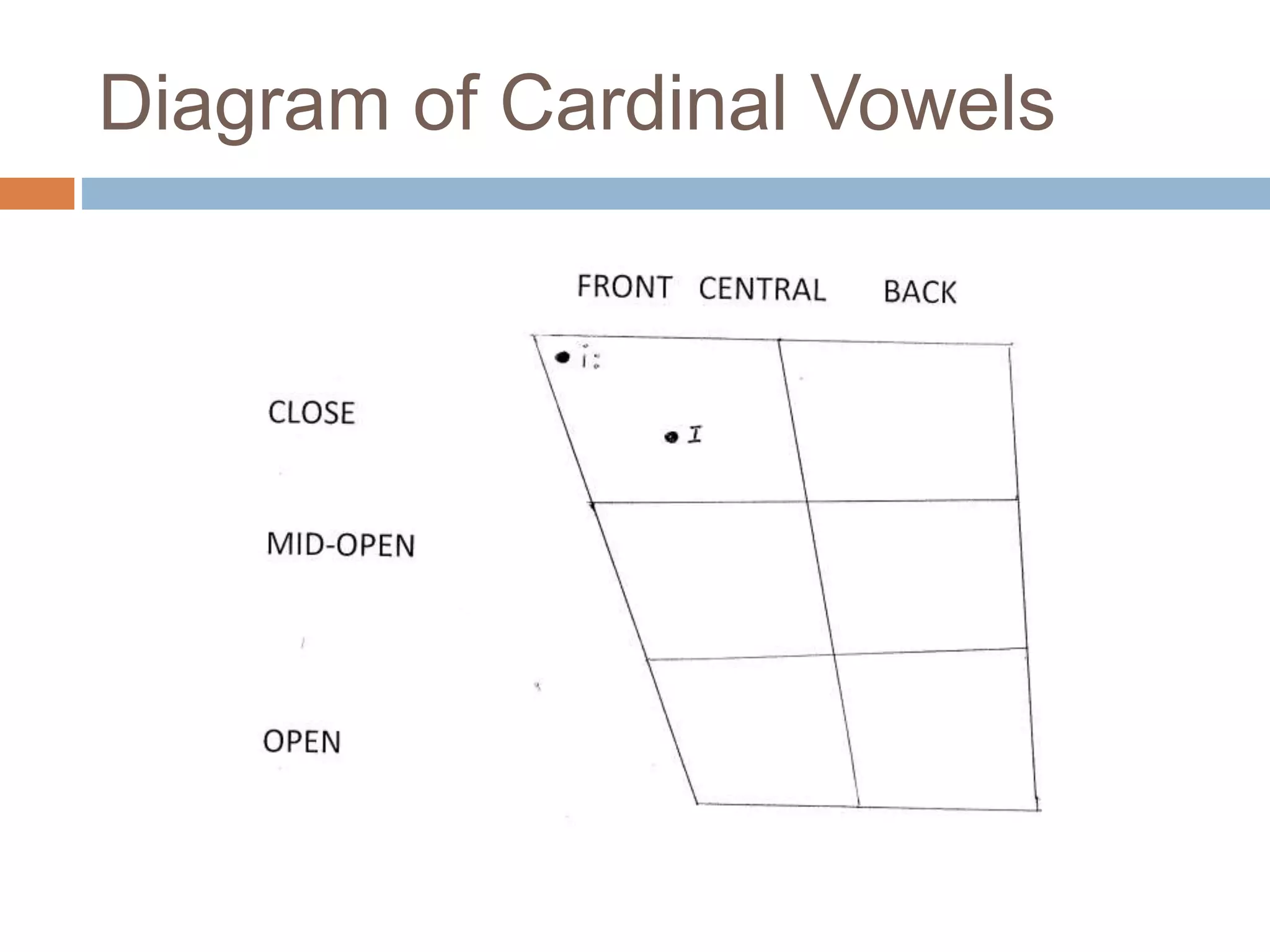 Diagram of Cardinal Vowels
 
