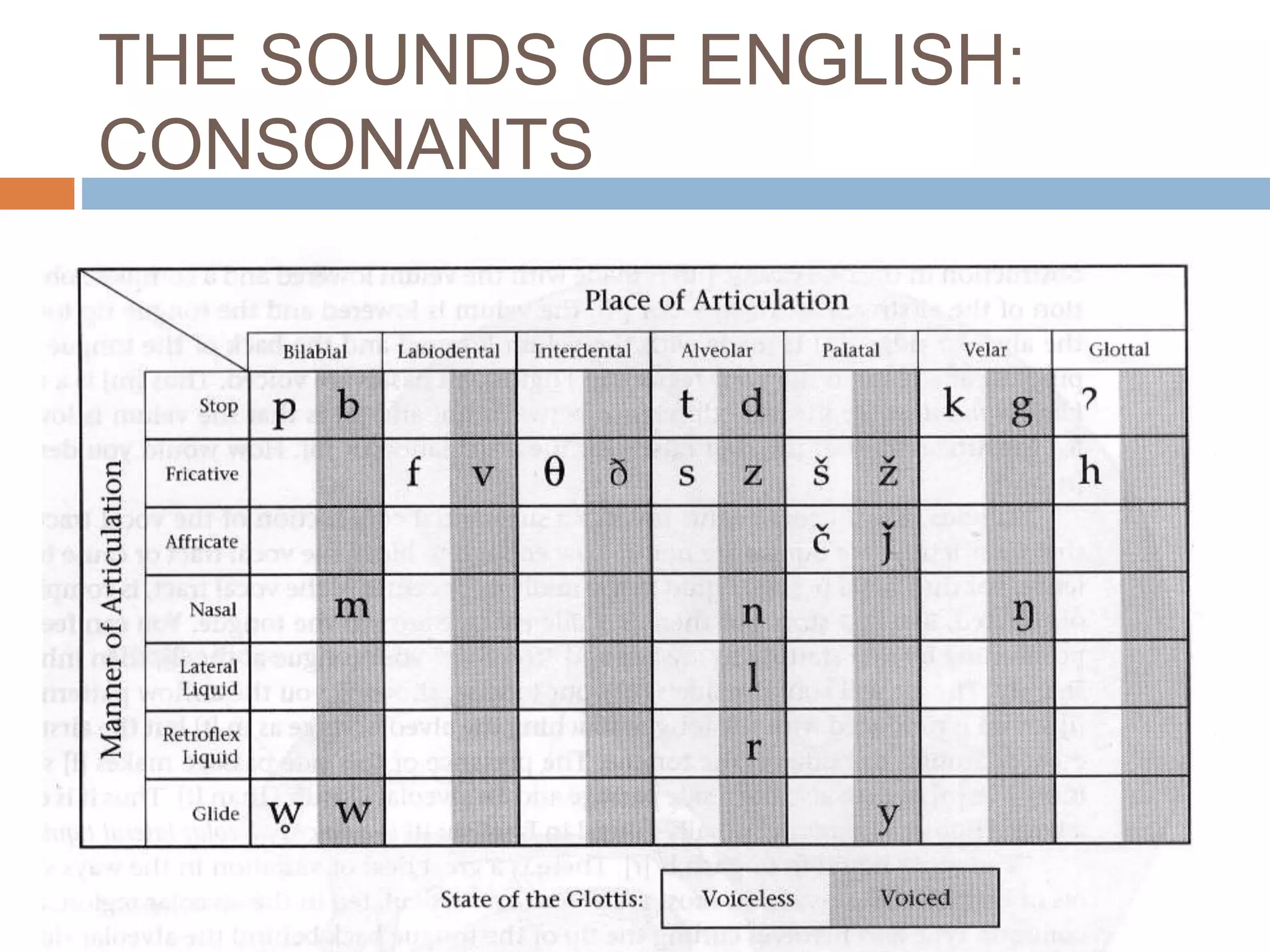 THE SOUNDS OF ENGLISH:
CONSONANTS
 