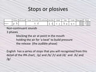 Stops or plosives
Non-continuant sounds
3 phases
blocking the air at point in the mouth
holding the air for ‘a beat’ to build pressure
the release (the audible phase)
English has a series of stops that you will recognised from this
detail of the IPA chart, /p/ and /b/ /t/ and /d/ and /k/ and
/g/
 