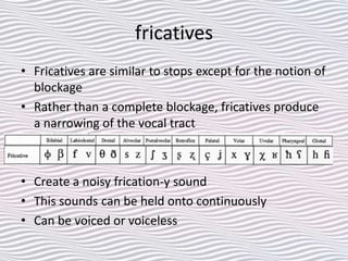 fricatives
• Fricatives are similar to stops except for the notion of
blockage
• Rather than a complete blockage, fricatives produce
a narrowing of the vocal tract
• Create a noisy frication-y sound
• This sounds can be held onto continuously
• Can be voiced or voiceless
 