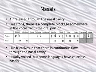 Nasals
• Air released through the nasal cavity
• Like stops, there is a complete blockage somewhere
in the vocal tract - the oral portion
• Like fricatives in that there is continuous flow
through the nasal cavity
• Usually voiced but some languages have voiceless
nasals
 