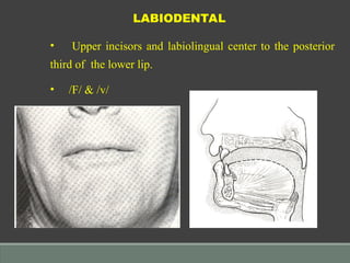 PHONETICS IN COMPLETE DENTURES final.ppt