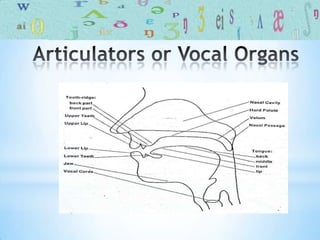 Phonetics introduction