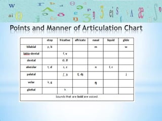 Phonetics introduction