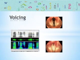 Phonetics introduction
