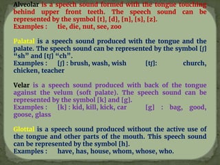 Alveolar is a speech sound formed with the tongue touching
behind upper front teeth. The speech sound can be
represented by the symbol [t], [d], [n], [s], [z].
Examples : tie, die, nut, see, zoo
Palatal is a speech sound produced with the tongue and the
palate. The speech sound can be represented by the symbol [ʃ]
“sh” and [tʃ] “ch”.
Examples : [ʃ] : brush, wash, wish [tʃ]: church,
chicken, teacher
Velar is a speech sound produced with back of the tongue
against the velum (soft palate). The speech sound can be
represented by the symbol [k] and [g].
Examples : [k] : kid, kill, kick, car [g] : bag, good,
goose, glass
Glottal is a speech sound produced without the active use of
the tongue and other parts of the mouth. This speech sound
can be represented by the symbol [h].
Examples : have, has, house, whom, whose, who.
 