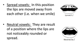 • Spread vowels: In this position
the lips are moved away from
each other (i.e. when we smile)
• Neutral vowels: They are result
of a position where the lips are
not noticeably rounded or
spread.
 