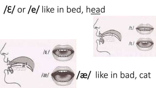 /Ɛ/ or /e/ like in bed, head
/ӕ/ like in bad, cat
 