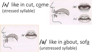 /ə/ like in about, sofa
(unstressed syllable)
/ʌ/ like in cut, come
(stressed syllable)
 