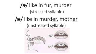 /ɝ/ like in fur, murder
(stressed syllable)
/ɚ/ like in murder, mother
(unstressed syllable)
 