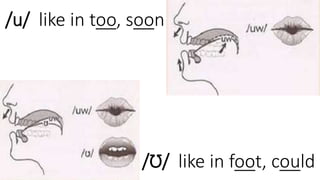 /u/ like in too, soon
/Ʊ/ like in foot, could
 