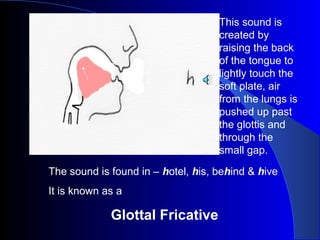 This sound is
created by
raising the back
of the tongue to
lightly touch the
soft plate, air
from the lungs is
pushed up past
the glottis and
through the
small gap.
The sound is found in – hotel, his, behind & hive
It is known as a

Glottal Fricative

 