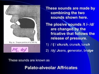Phonetic sounds | PPT