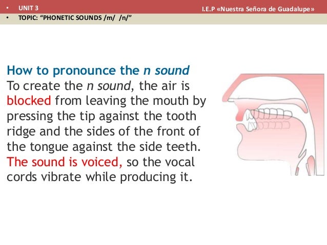 sound phonetic n sounds Phonetic n m sound phonetic n sounds Phonetic n m