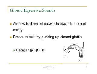 Glottic Egressive Sounds

 Air flow is directed outwards towards the oral
 cavity
 Pressure built by pushing up closed glottis


   Georgian [p’], [t’], [k’]




                         www.PANL10n.net          10
 