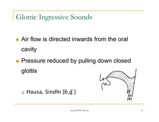 Glottic Ingressive Sounds

 Air flow is directed inwards from the oral
 cavity
 Pressure reduced by pulling down closed
 glottis


   Hausa, Sindhi [ɓ,ɠ ]


                    www.PANL10n.net           11
 