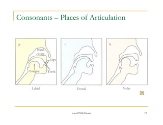 Consonants – Places of Articulation




                                      [9]




                 www.PANL10n.net            19
 
