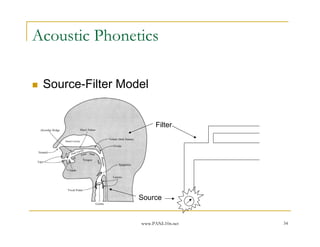 Acoustic Phonetics

 Source-Filter Model


                       Filter




                  Source


                  www.PANL10n.net   34
 