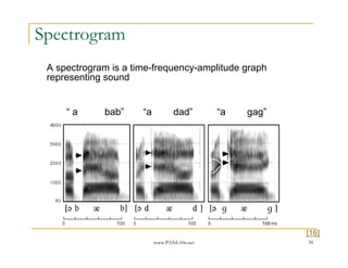 Spectrogram
 A spectrogram is a time-frequency-amplitude graph
 representing sound


     “a      bab”     “a          dad”       “a   gag”




                                                         [16]
                           www.PANL10n.net               38
 