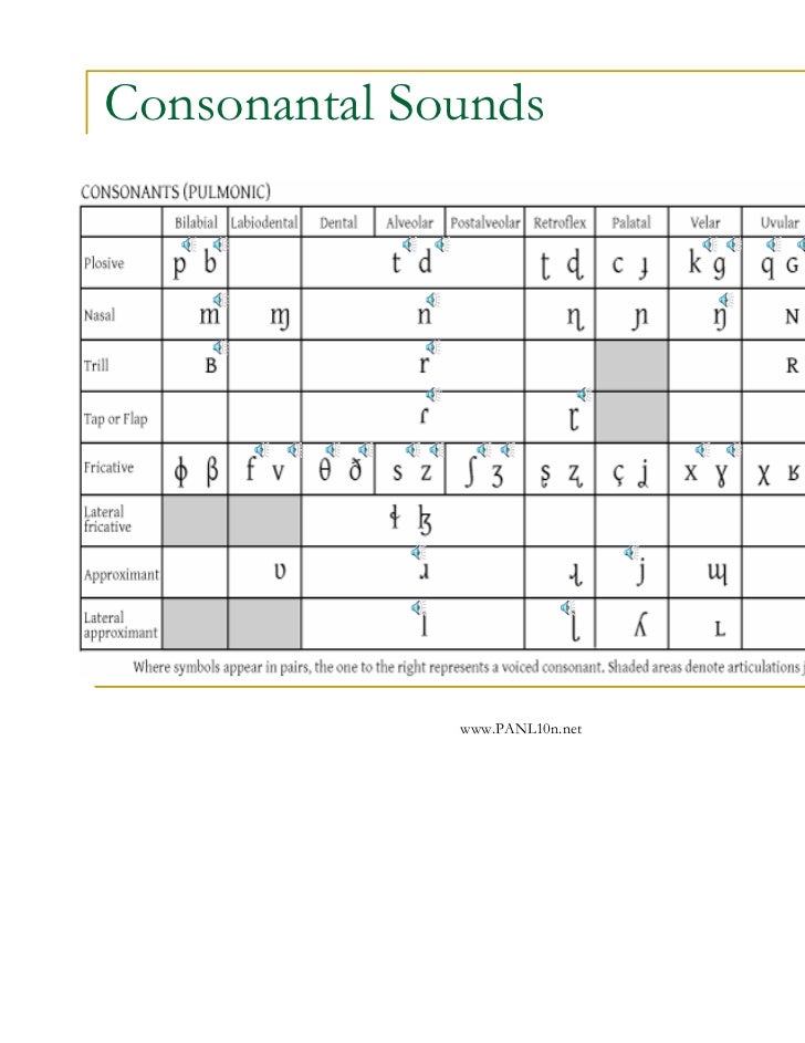 phonetics phonology by anntina fyvonnequehz phonetics phonology by anntina fyvonnequehz