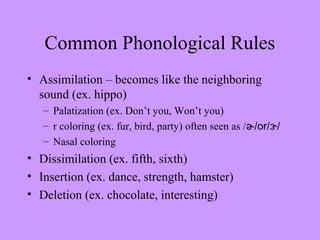 Phonetics Phonology | PPT