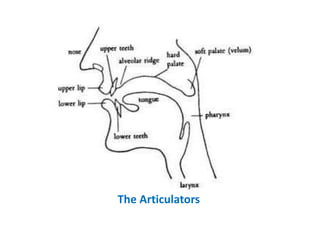 The Articulators
 