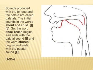 Phonetics & Phonology Mine.pptx