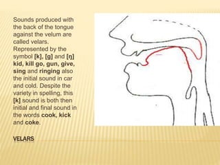 Phonetics & Phonology Mine.pptx
