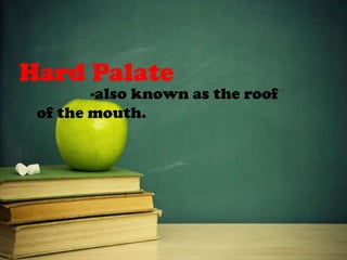 Hard Palate
-also known as the roof
of the mouth.
 