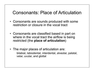 Consonants: Place of Articulation
• Consonants are sounds produced with some
restriction or closure in the vocal tract
• Consonants are classified based in part on
where in the vocal tract the airflow is being
restricted (the place of articulation)
• The major places of articulation are:
bilabial, labiodental, interdental, alveolar, palatal,
velar, uvular, and glottal
 