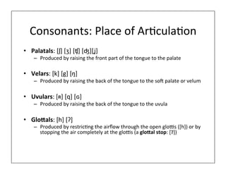 Consonants:	
  Place	
  of	
  Ar0cula0on	
  
• Palatals:	
  [ʃ]	
  [ʒ]	
  [ʧ]	
  [ʤ][ʝ]	
  
– Produced	
  by	
  raising	
  the	
  front	
  part	
  of	
  the	
  tongue	
  to	
  the	
  palate	
  
• Velars:	
  [k]	
  [g]	
  [ŋ]	
  
– Produced	
  by	
  raising	
  the	
  back	
  of	
  the	
  tongue	
  to	
  the	
  soI	
  palate	
  or	
  velum	
  
• Uvulars:	
  [ʀ]	
  [q]	
  [ɢ]	
  	
  
– Produced	
  by	
  raising	
  the	
  back	
  of	
  the	
  tongue	
  to	
  the	
  uvula	
  
• Glo5als:	
  [h]	
  [Ɂ]	
  
– Produced	
  by	
  restric0ng	
  the	
  airﬂow	
  through	
  the	
  open	
  glo@s	
  ([h])	
  or	
  by	
  
stopping	
  the	
  air	
  completely	
  at	
  the	
  glo@s	
  (a	
  glo5al	
  stop:	
  [Ɂ])	
  
 