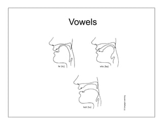 Vowels
©
Cengage
Learning
 