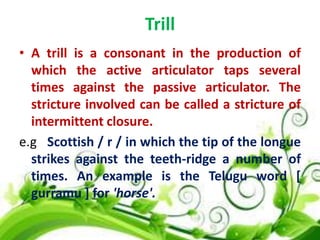 Trill
• A trill is a consonant in the production of
which the active articulator taps several
times against the passive articulator. The
stricture involved can be called a stricture of
intermittent closure.
e.g Scottish / r / in which the tip of the longue
strikes against the teeth-ridge a number of
times. An example is the Telugu word [
gurramu ] for 'horse'.

 