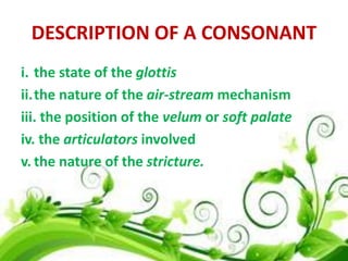 DESCRIPTION OF A CONSONANT
i. the state of the glottis
ii.the nature of the air-stream mechanism
iii. the position of the velum or soft palate
iv. the articulators involved
v. the nature of the stricture.

 